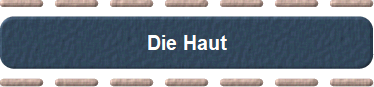 Die Haut